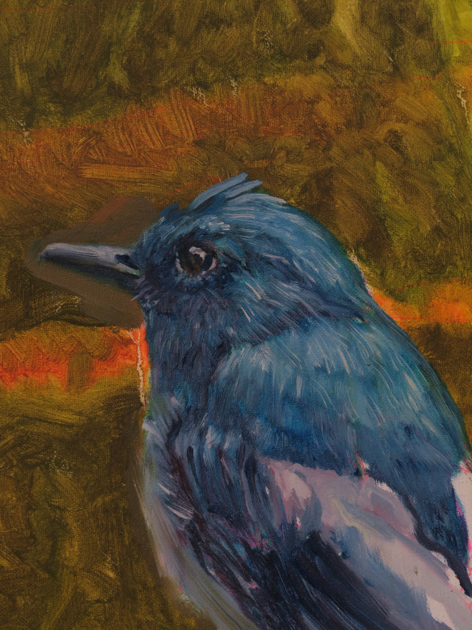 oiseau detail